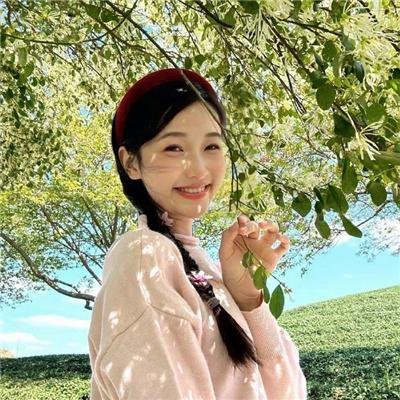 科搜研之女第24季